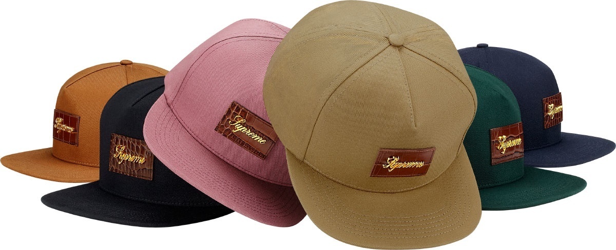 Crocodile Script 5 Panel